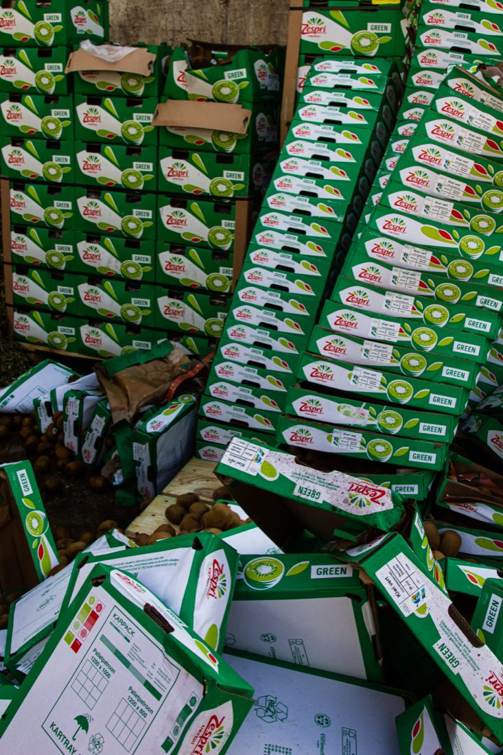 Boxes of kiwis from New Zealand discarded after a storage or transport defect