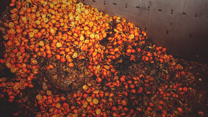 Discarded oranges at a food waste facility
